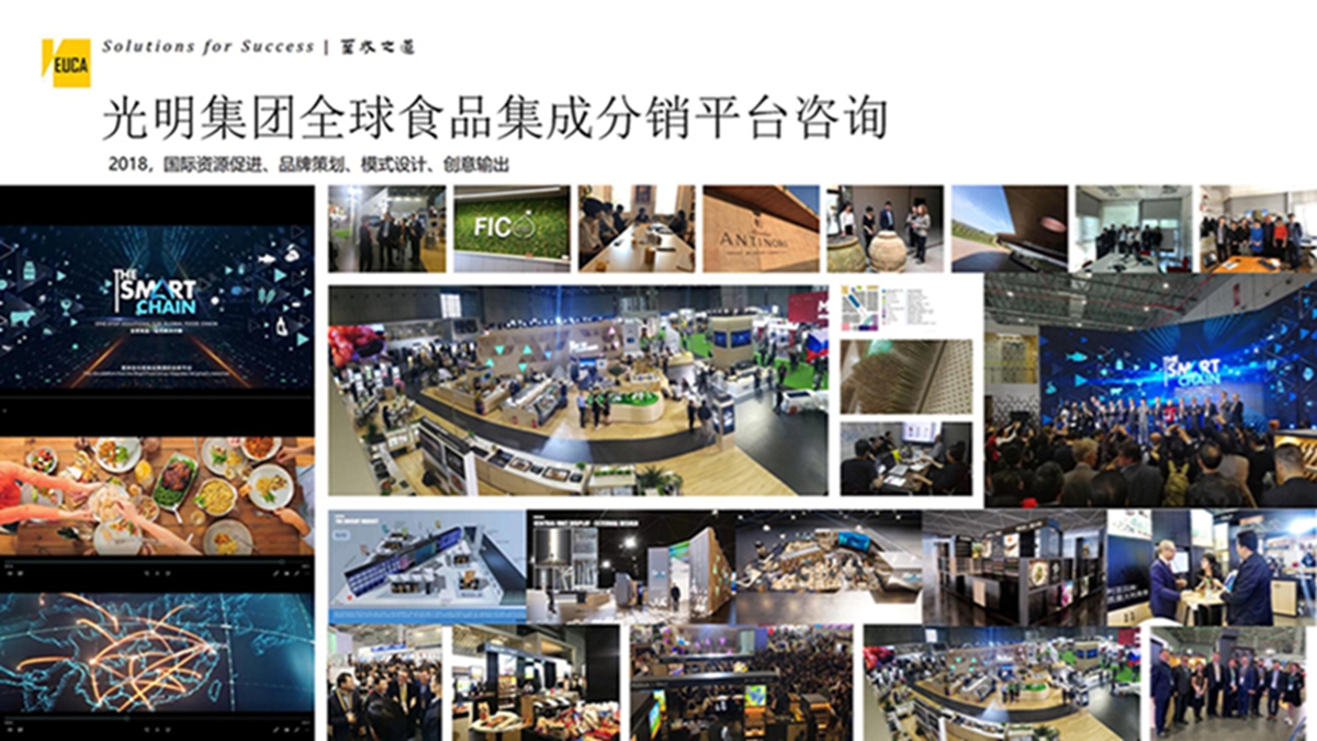 光明集团全球食品集成分销平台咨询