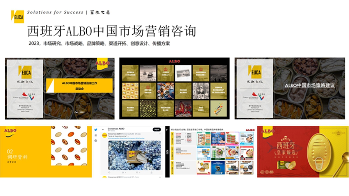 西班牙ALB0中国市场营销咨询